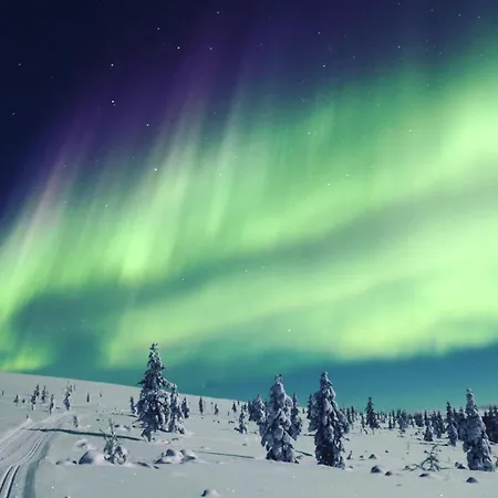 Castillo Vuorsa 3 * Saariselkä