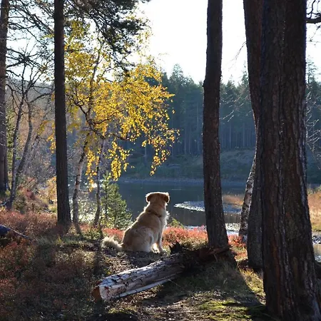 Castillo Vuorsa 3 Saariselkä
