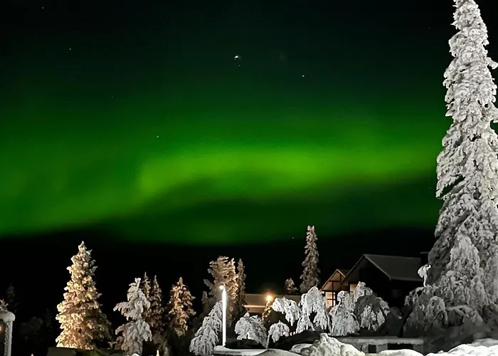 Castillo Vuorsa 3 사리셀카