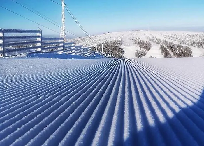 Castillo Vuorsa 3 사리셀카